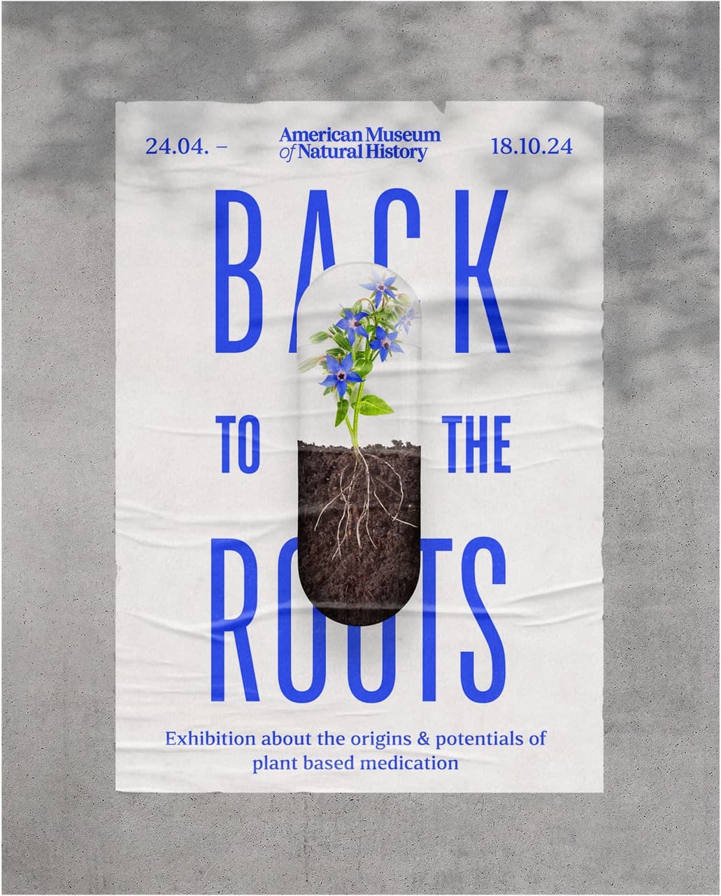 backtotheroots-poster.jpeg